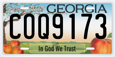 GA license plate COQ9173