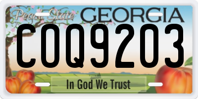 GA license plate COQ9203