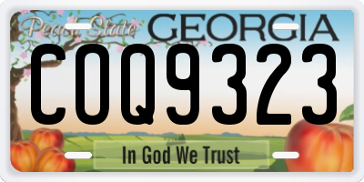 GA license plate COQ9323