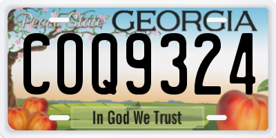GA license plate COQ9324