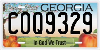 GA license plate COQ9329