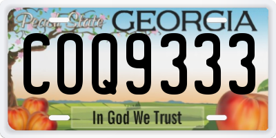 GA license plate COQ9333
