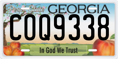 GA license plate COQ9338