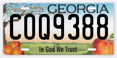 GA license plate COQ9388