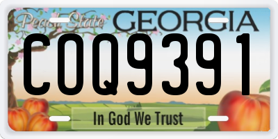 GA license plate COQ9391