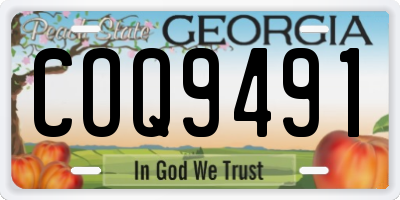 GA license plate COQ9491