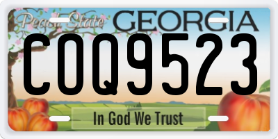 GA license plate COQ9523