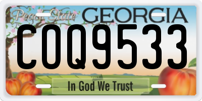 GA license plate COQ9533