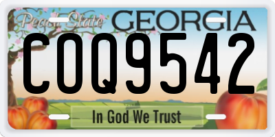 GA license plate COQ9542