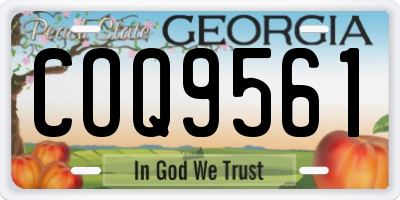 GA license plate COQ9561