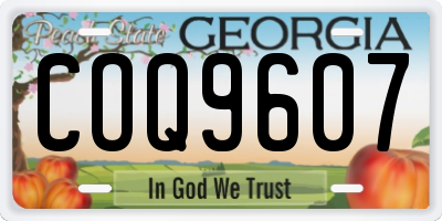 GA license plate COQ9607