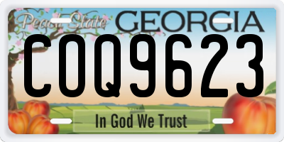 GA license plate COQ9623