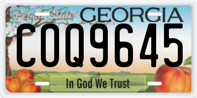 GA license plate COQ9645