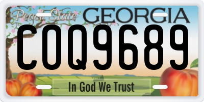 GA license plate COQ9689