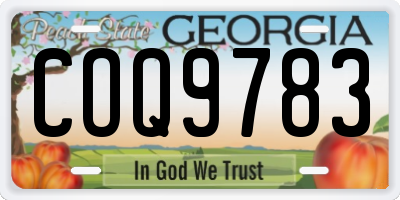 GA license plate COQ9783