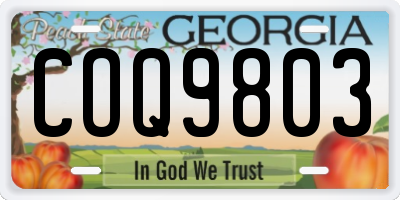 GA license plate COQ9803