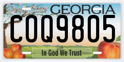 GA license plate COQ9805