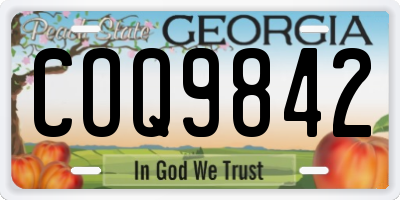 GA license plate COQ9842