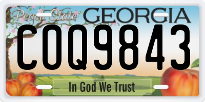 GA license plate COQ9843