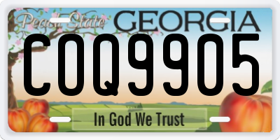 GA license plate COQ9905