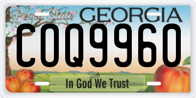 GA license plate COQ9960