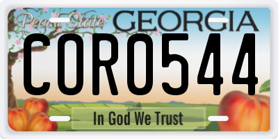 GA license plate COR0544