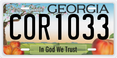 GA license plate COR1033