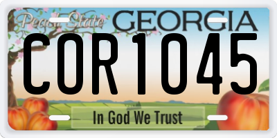 GA license plate COR1045