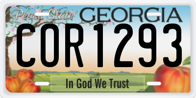GA license plate COR1293