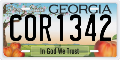 GA license plate COR1342