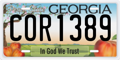 GA license plate COR1389