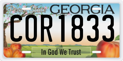 GA license plate COR1833