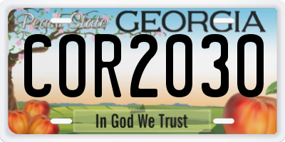 GA license plate COR2030