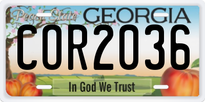 GA license plate COR2036