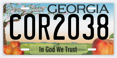 GA license plate COR2038