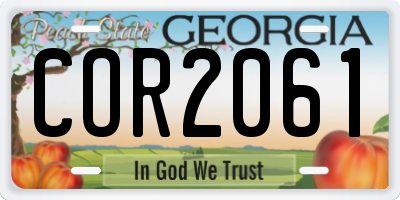 GA license plate COR2061