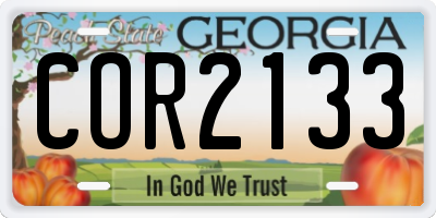 GA license plate COR2133