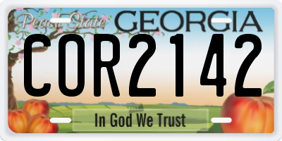 GA license plate COR2142