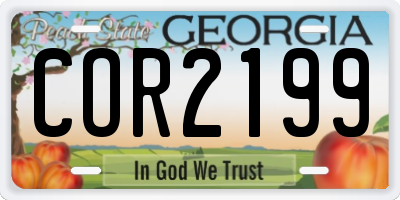 GA license plate COR2199