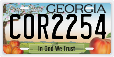 GA license plate COR2254
