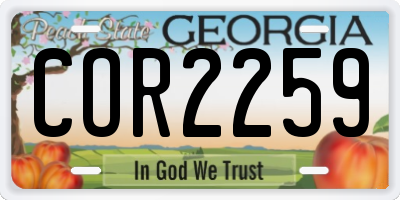 GA license plate COR2259