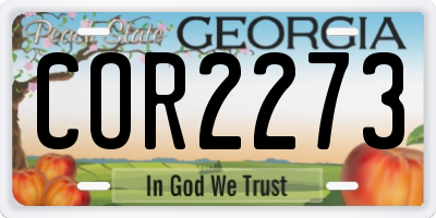 GA license plate COR2273