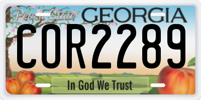 GA license plate COR2289