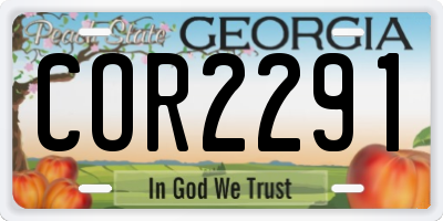 GA license plate COR2291