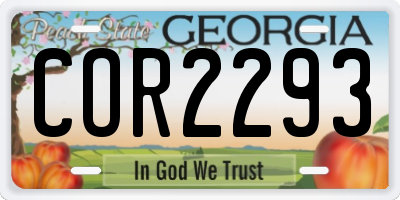 GA license plate COR2293