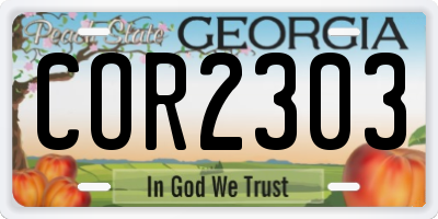 GA license plate COR2303