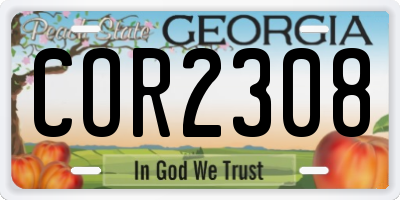 GA license plate COR2308