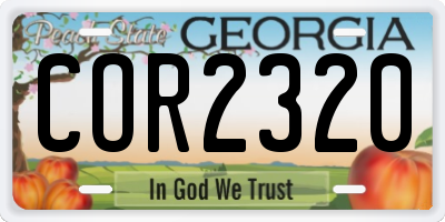 GA license plate COR2320