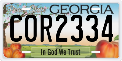 GA license plate COR2334