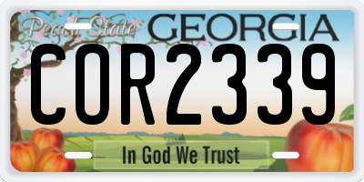 GA license plate COR2339